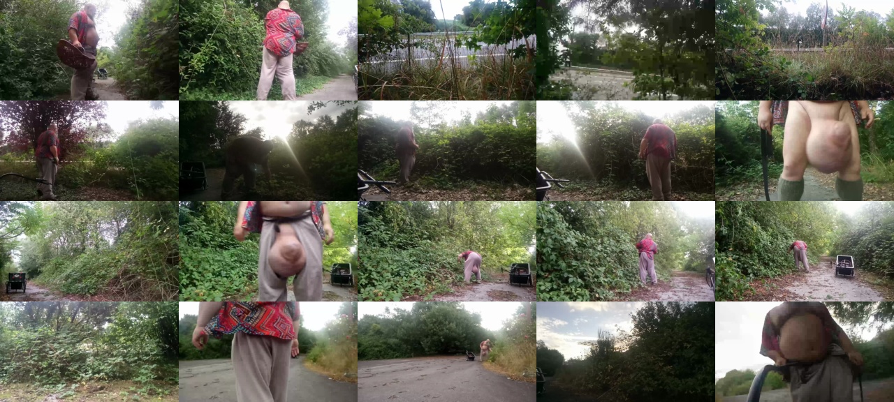 lepamplemous  02-08-2020