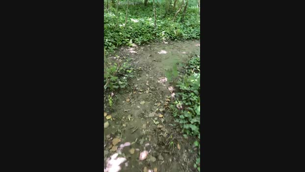 giulio_35