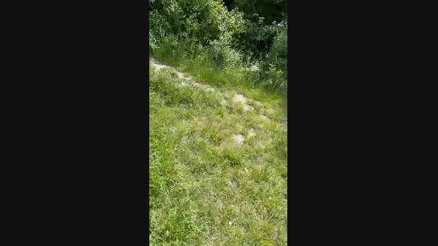 79erMicha  25-05-2023