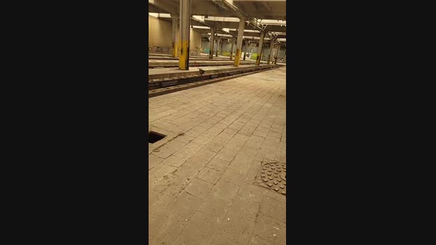 publicexib1  31-05-2023