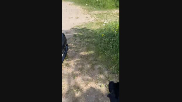 79erMicha  01-06-2023