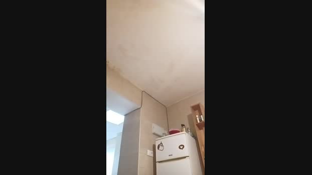 AlanBabi  31-05-2023
