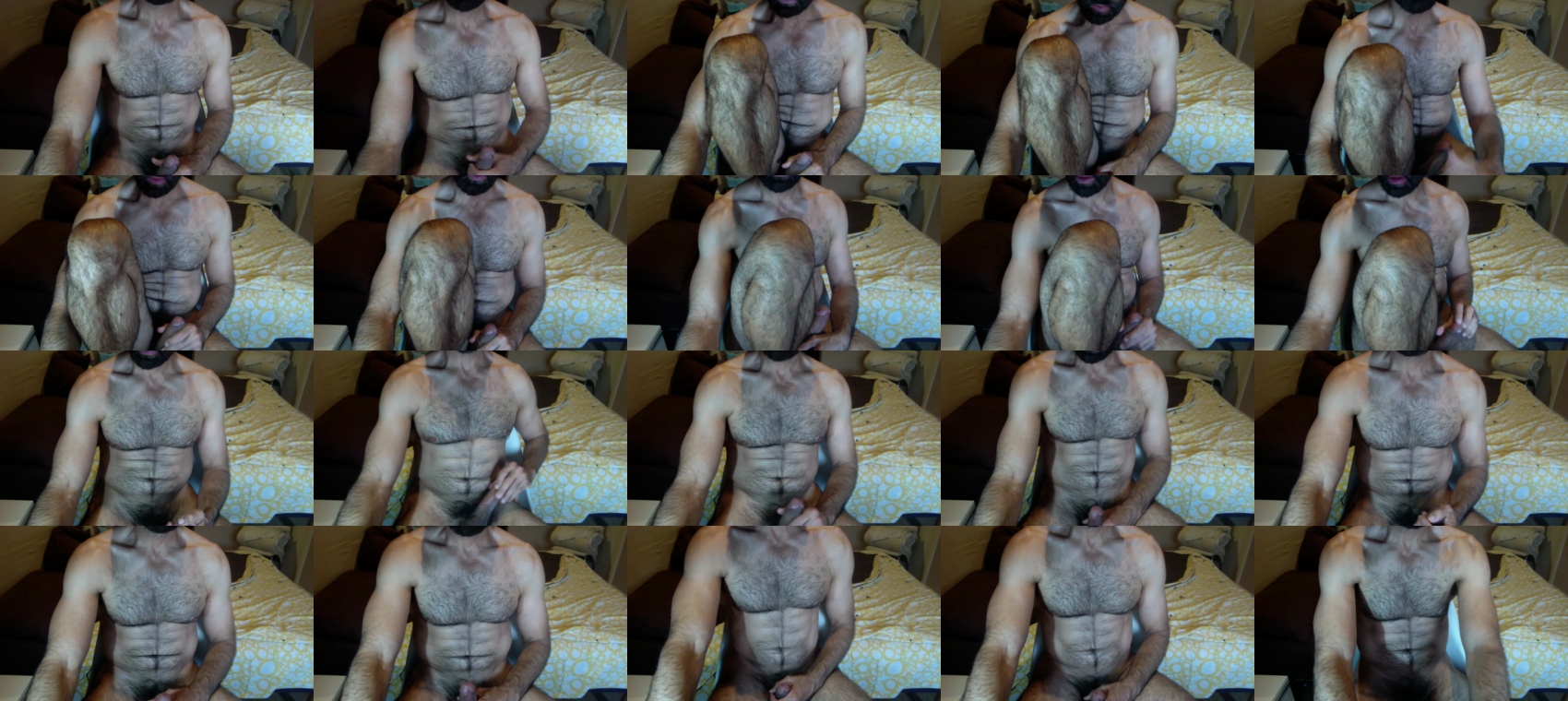 jacato  31-05-2023