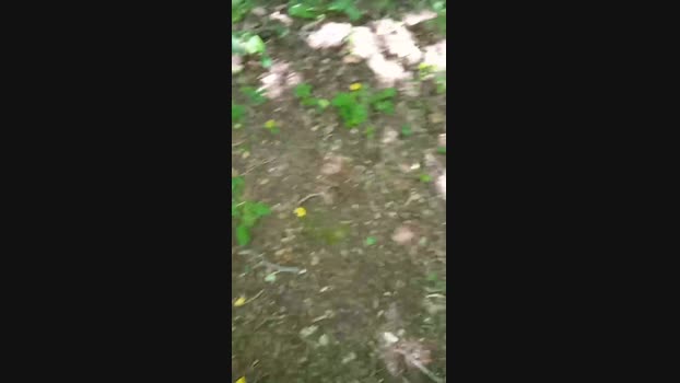 eric293_xxx  02-06-2023