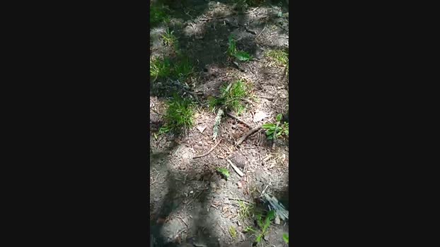 eric293_xxx  02-06-2023