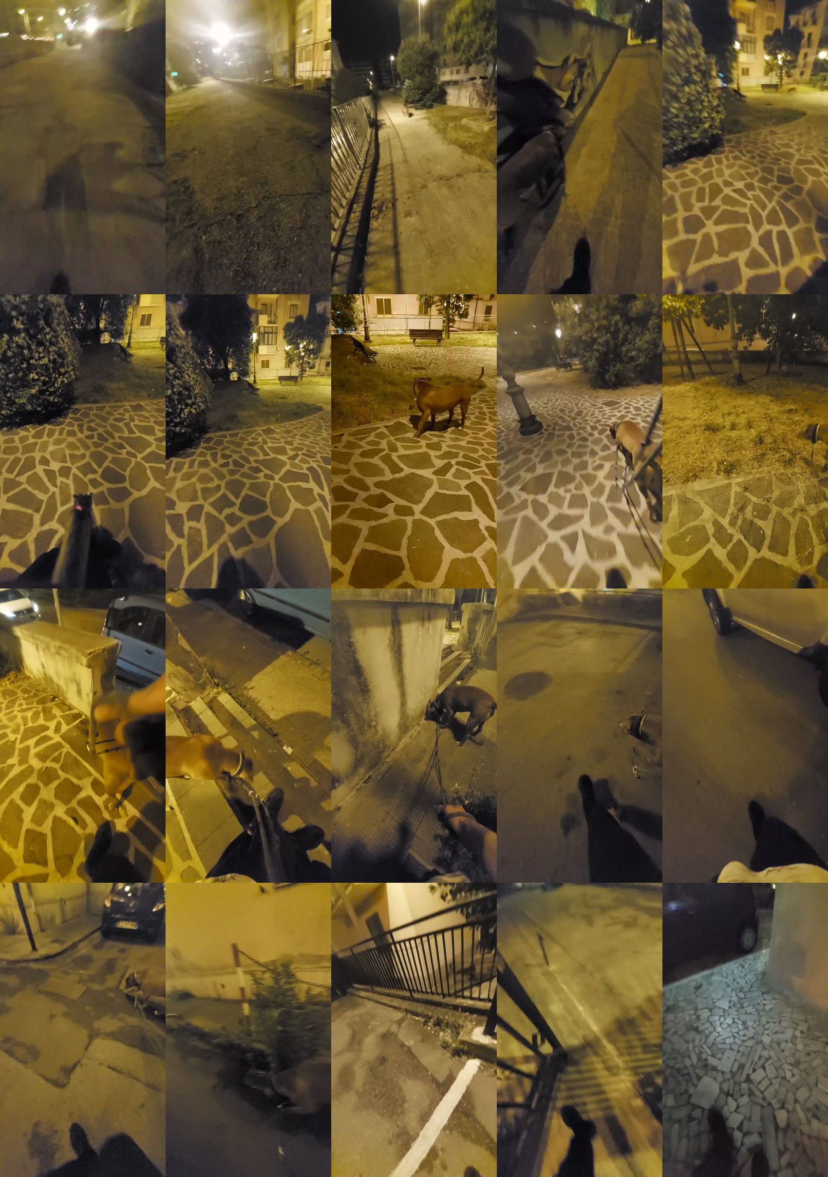 Lurio  02-06-2023
