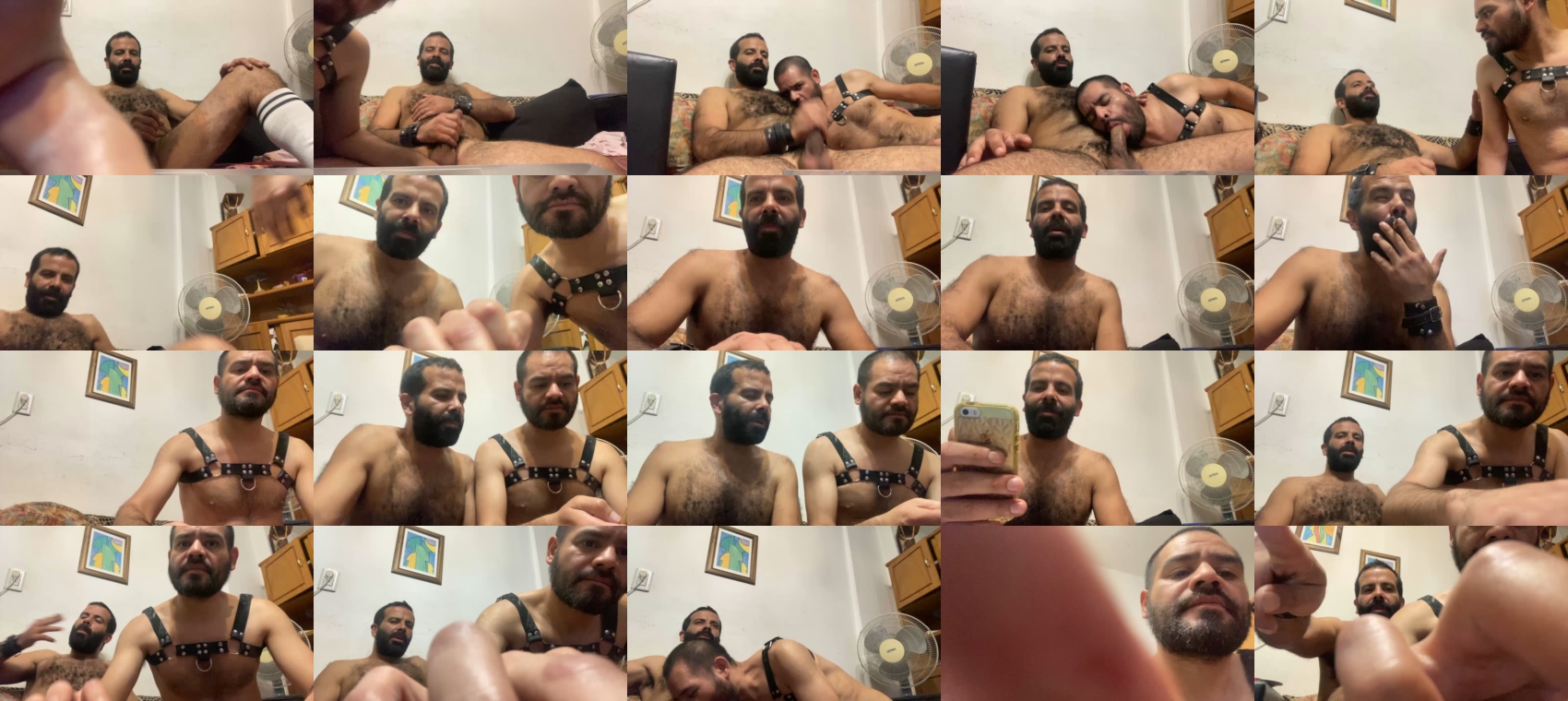 hairies1981  03-06-2023