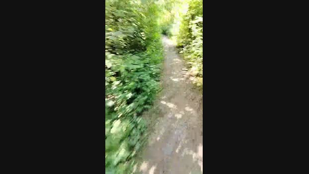 liegeois  03-06-2023