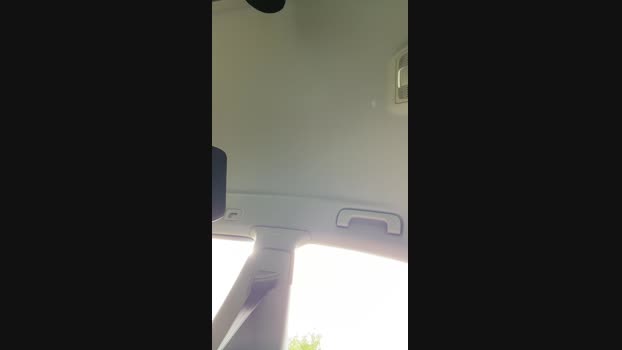 massojoli  10-06-2023