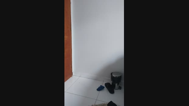 Petreli  24-06-2023