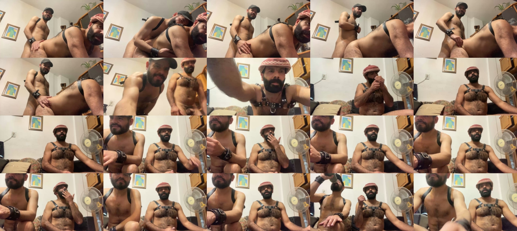 hairies1981  24-06-2023