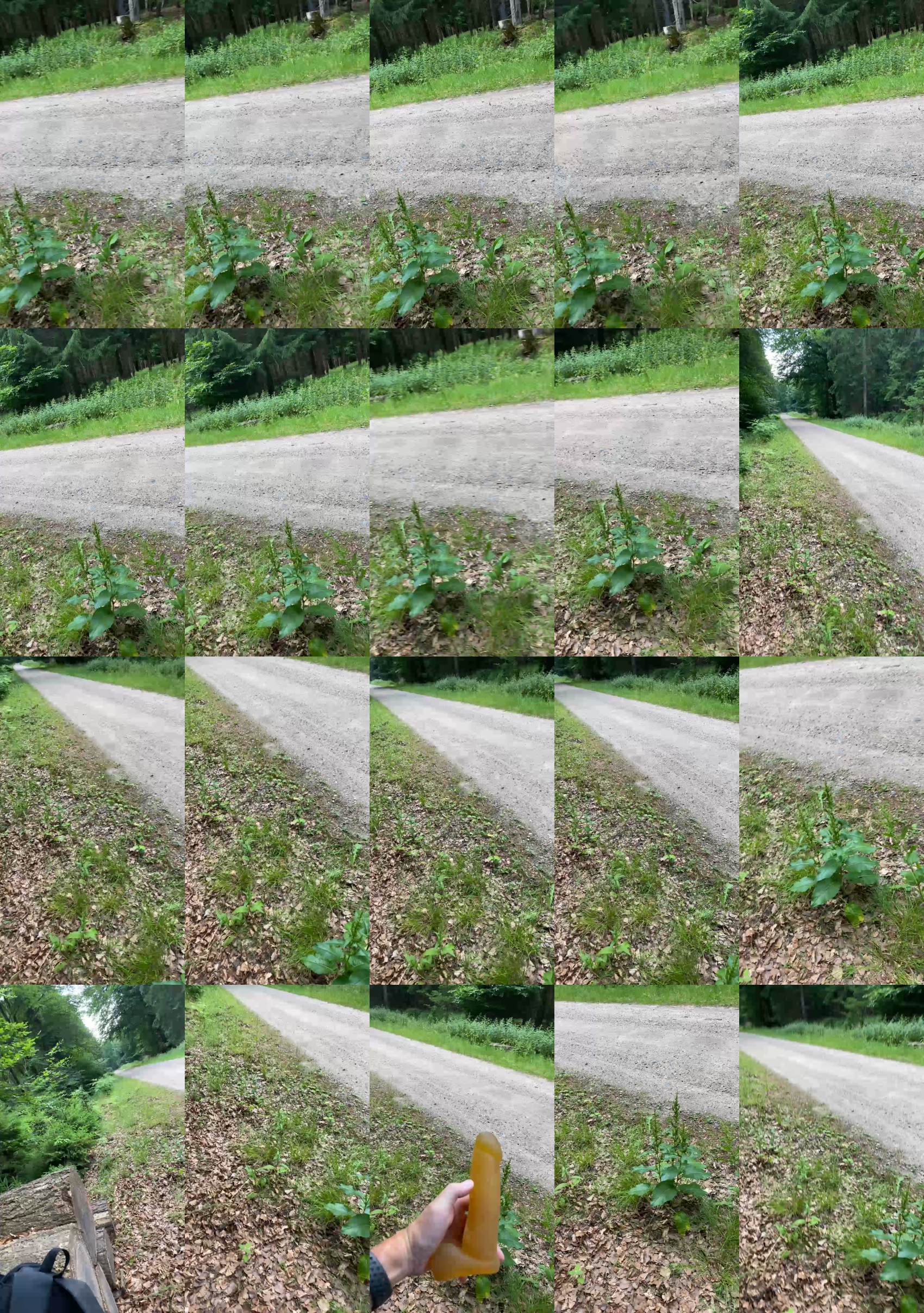 geilerjung69  25-06-2023