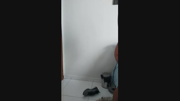 Petreli  25-06-2023