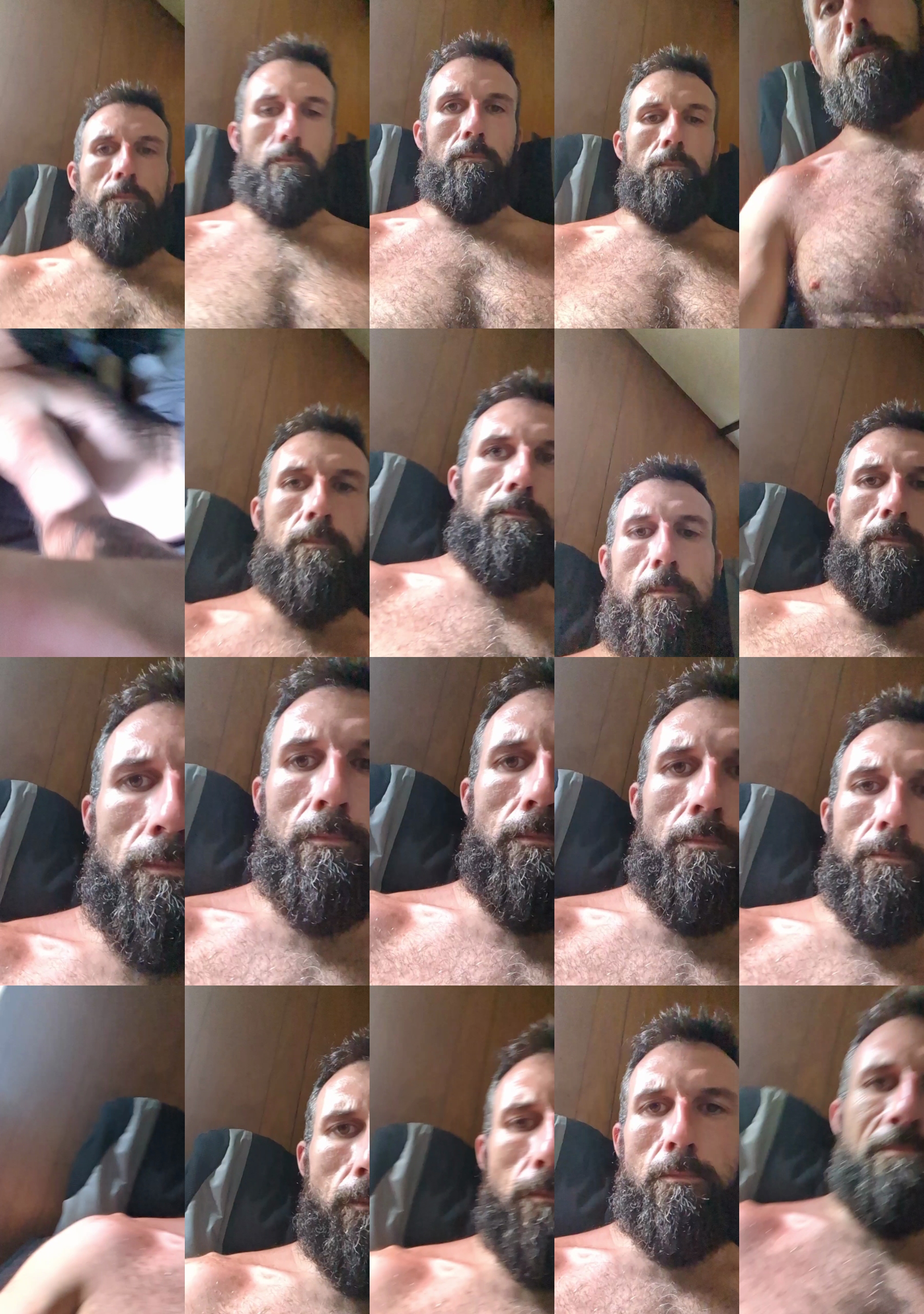 chewy1lb  25-06-2023