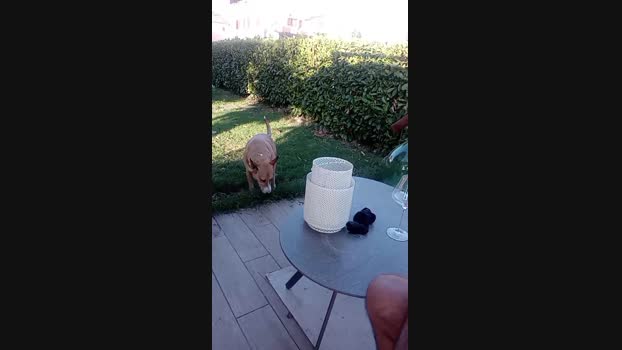 occhifun  25-06-2023