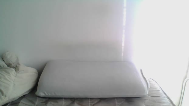 betopela  26-06-2023