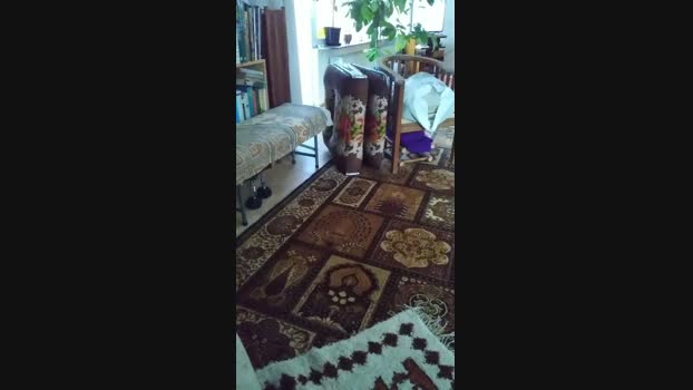weed_whacker  26-06-2023