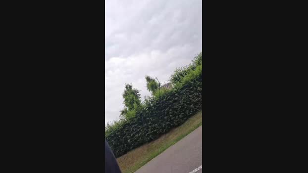 Doperman  28-06-2023