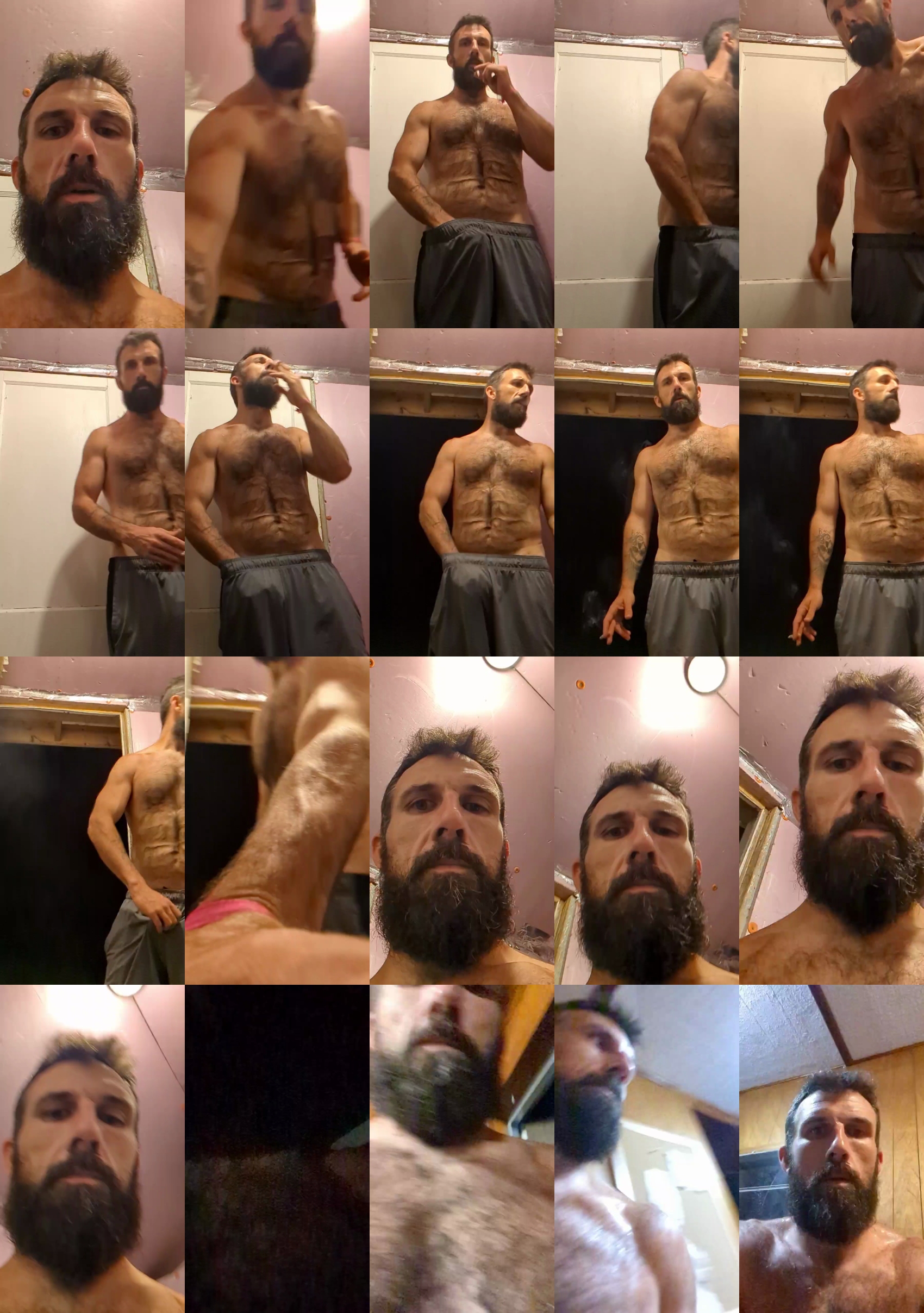 chewy1lb  29-06-2023