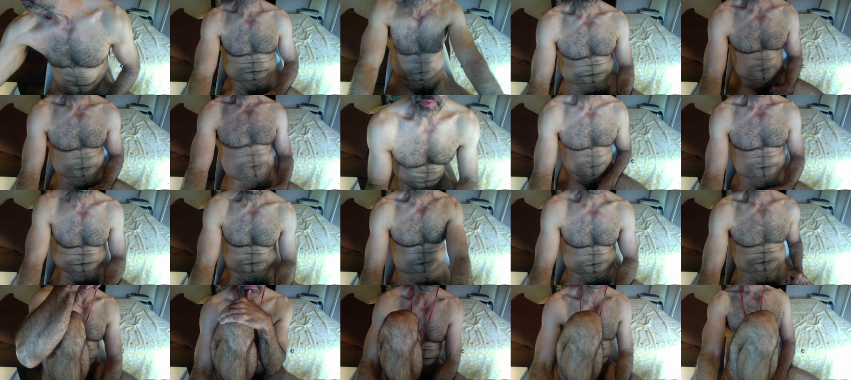 jacato  29-06-2023
