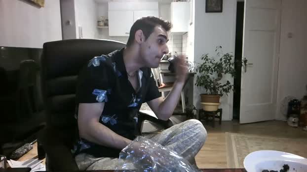 mihaimichael  29-06-2023