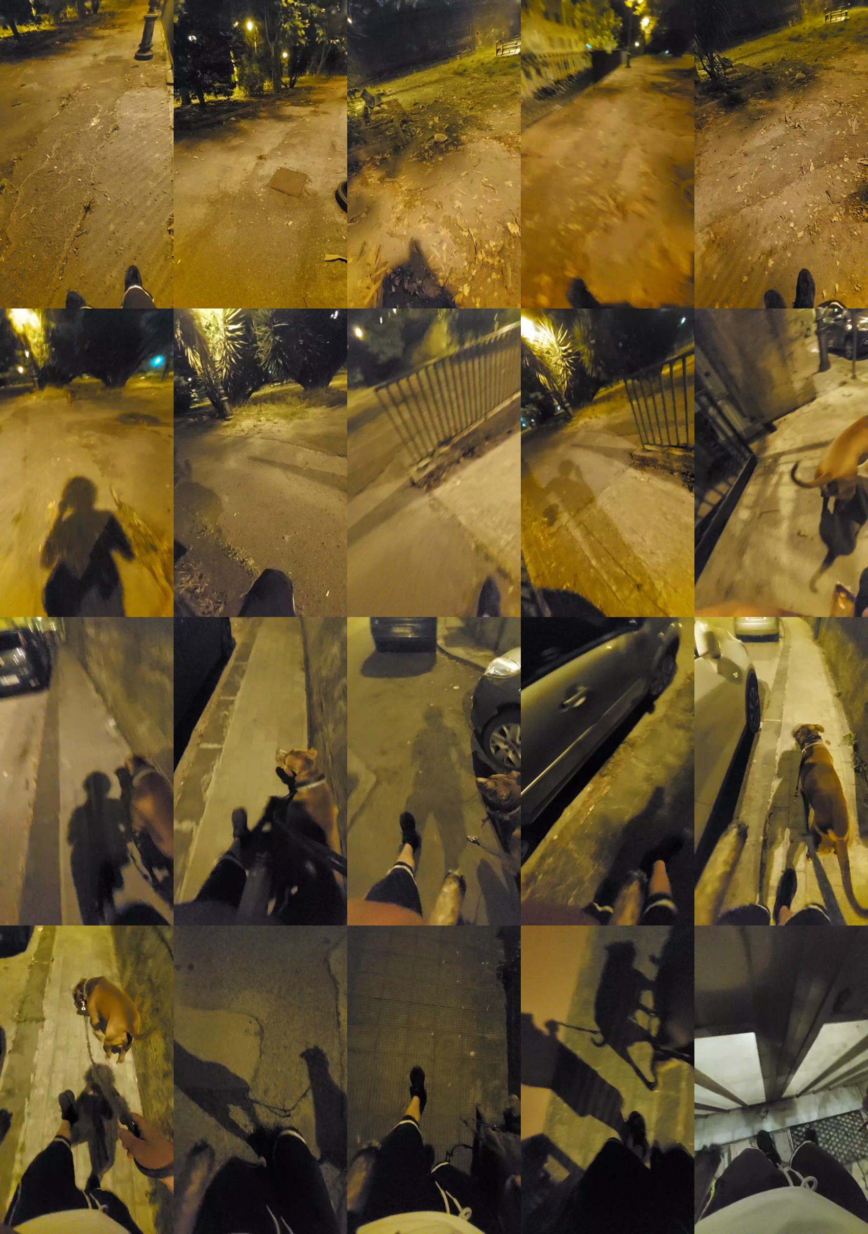 Lurio  01-07-2023