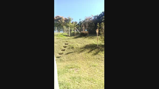 Safadinho6699  04-07-2023