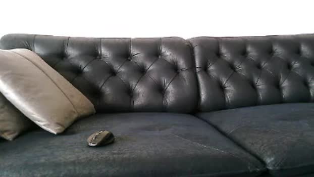 kasket45  06-07-2023