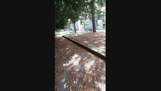 Lurio  08-07-2023