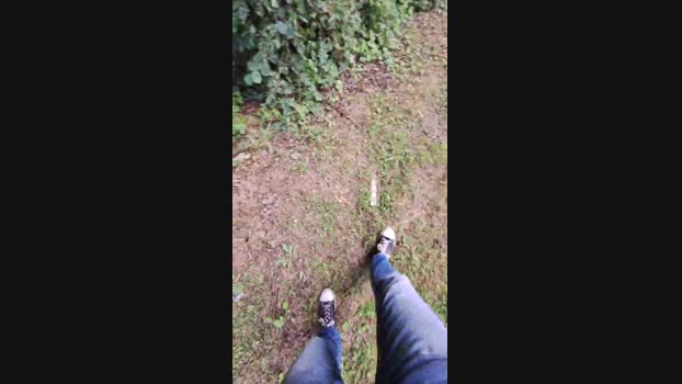 widder35  12-07-2023