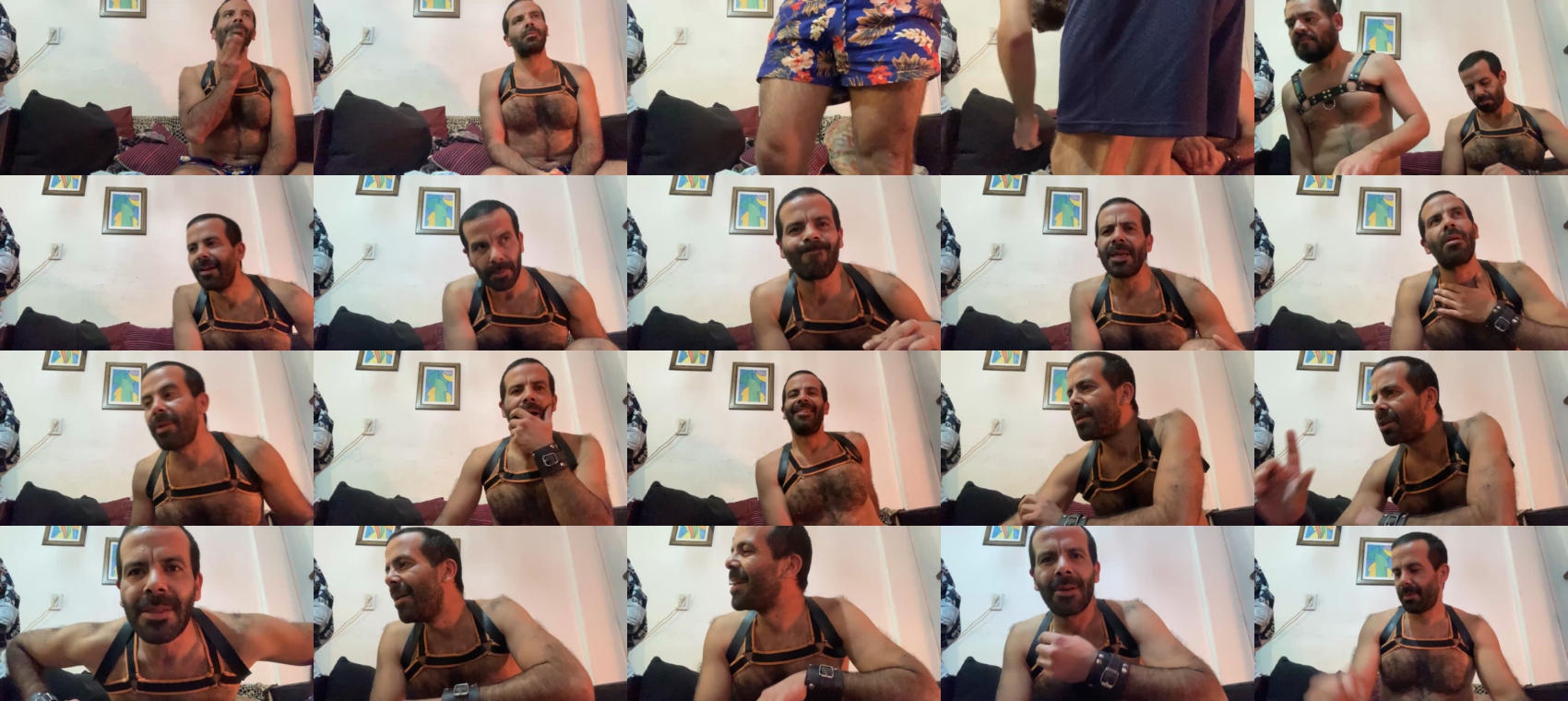 hairies1981  14-07-2023