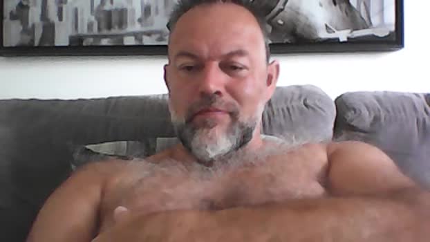 bear70s  19-07-2023