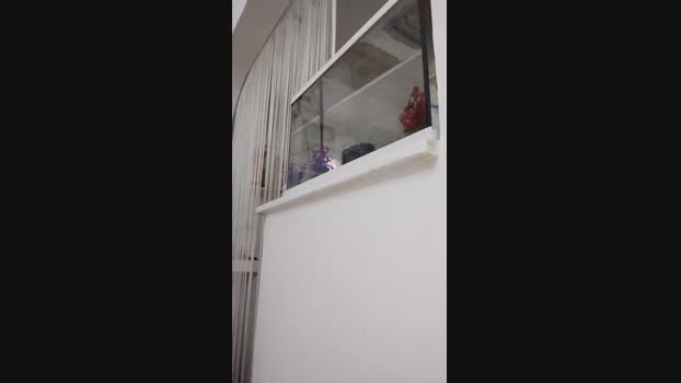 Viki84  21-07-2023