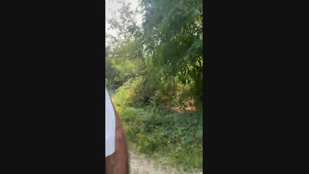 Ocam_  22-07-2023
