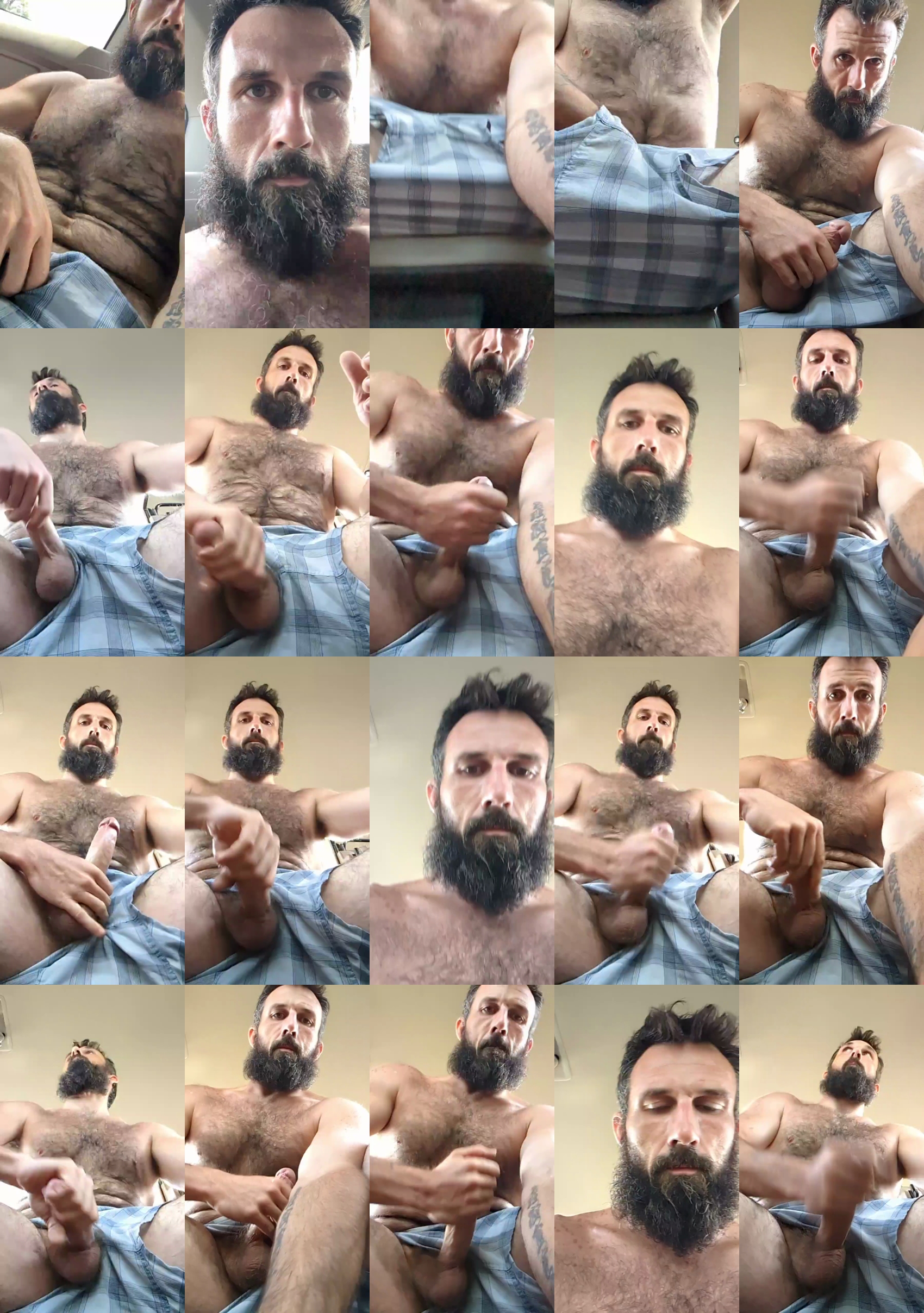 chewy1lb  21-07-2023