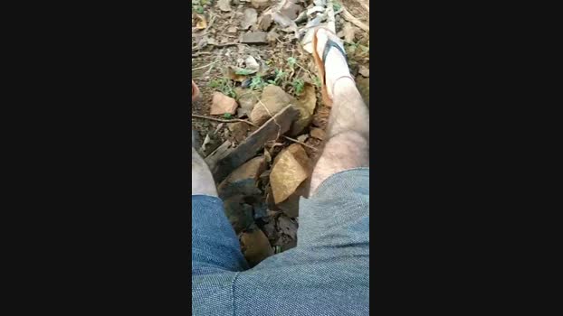 robson_29  26-07-2023