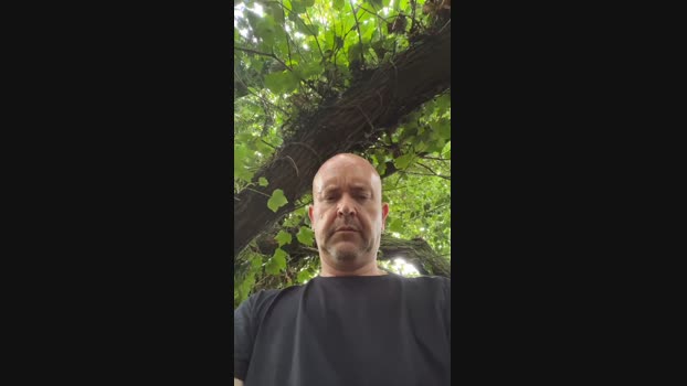 exposedbi  31-07-2023