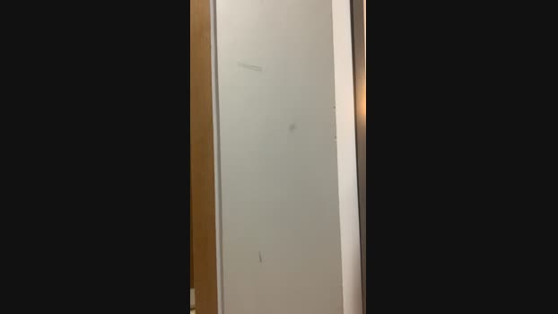 trunky_boi  30-07-2023