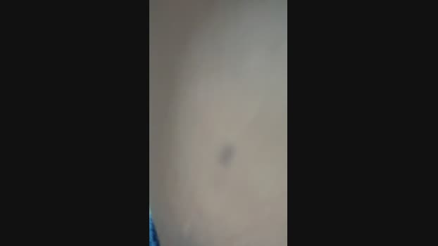 Petreli  31-07-2023