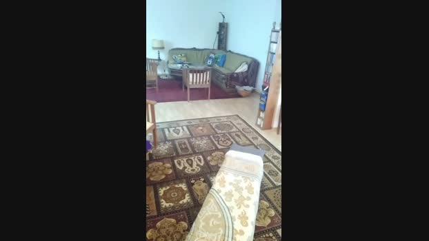 weed_whacker  09-08-2023