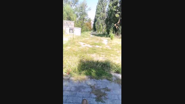 giorgio526  13-08-2023