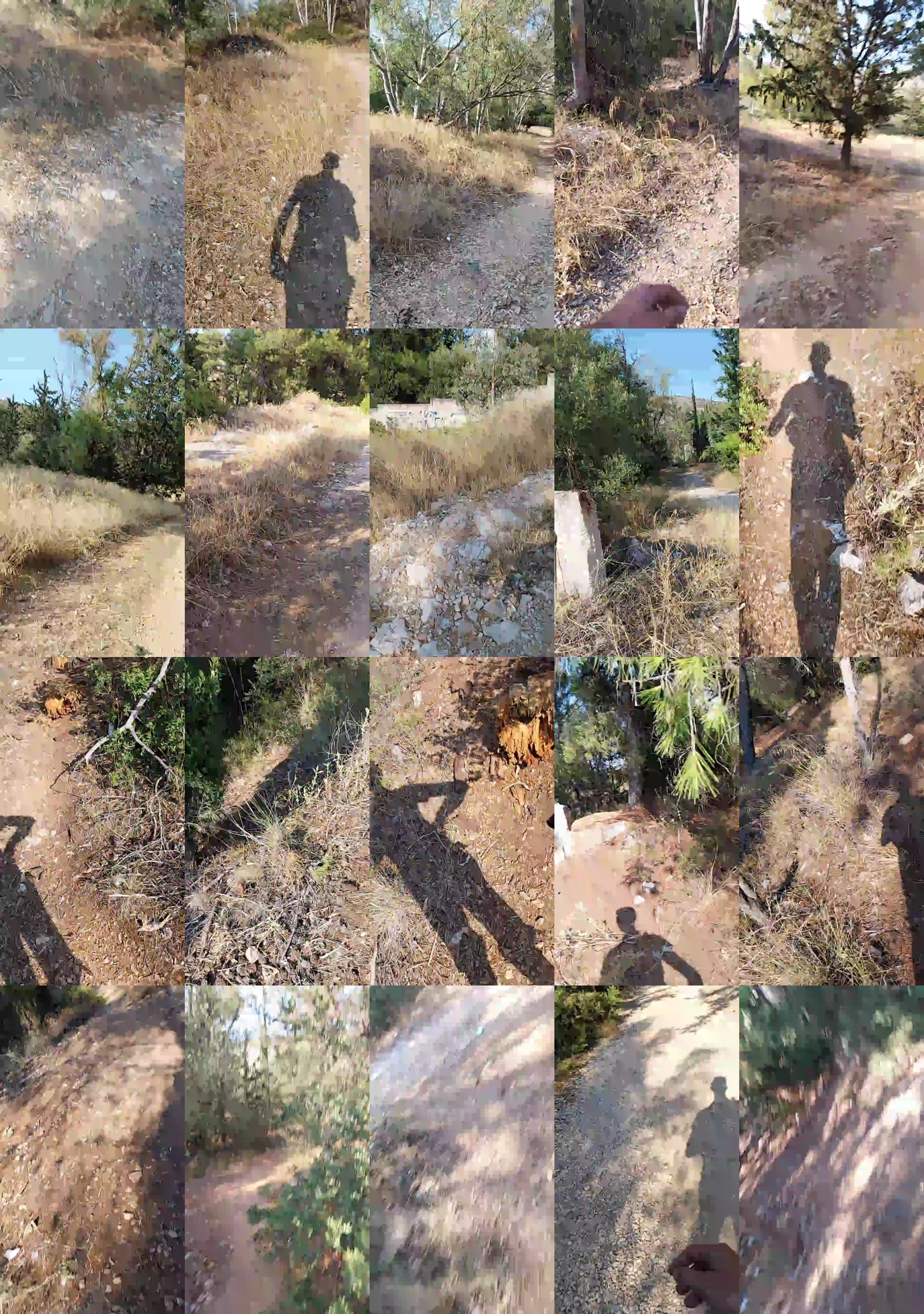 pathpeter  14-08-2023