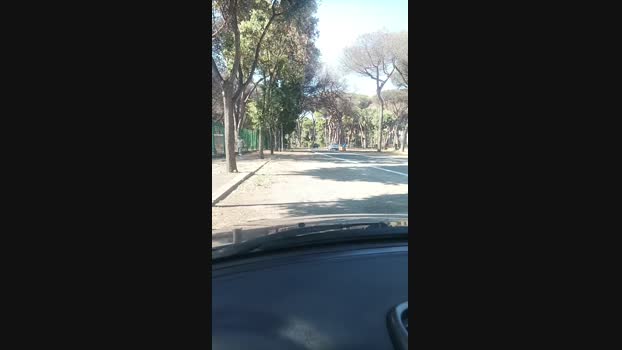 minuzzo61  15-08-2023