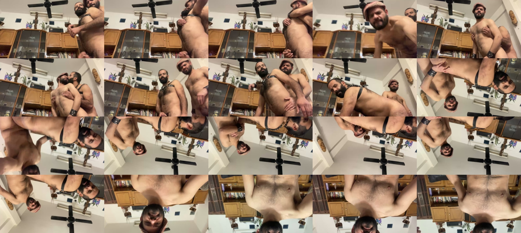 hairies1981  18-08-2023