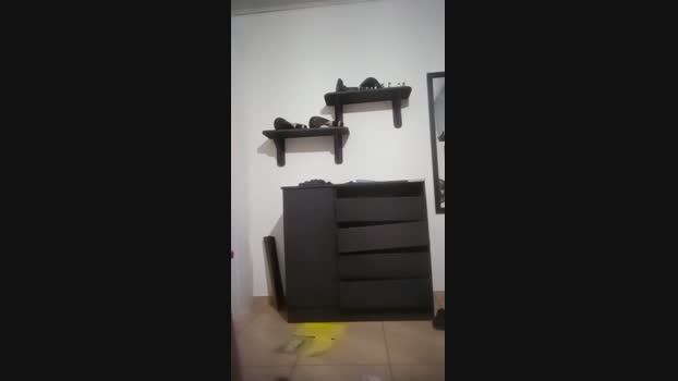 joaoeros  24-08-2023
