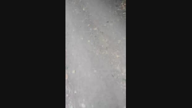 albaniacaserta4  27-08-2023