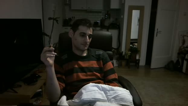 mihaimichael  27-08-2023