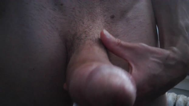 farmerboy3  31-08-2023