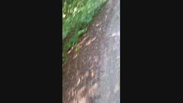 widder35  06-09-2023