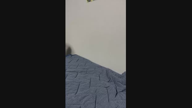 syota_jp  10-09-2023
